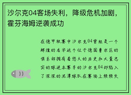 沙尔克04客场失利，降级危机加剧，霍芬海姆逆袭成功